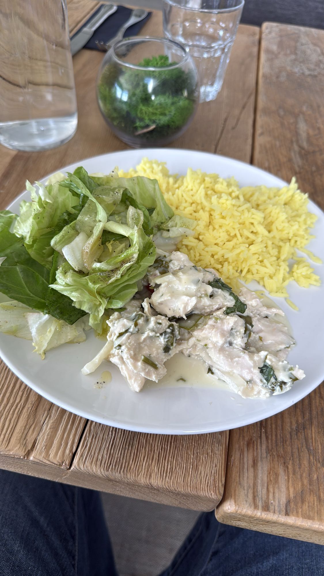 Creamy Chicken Rice