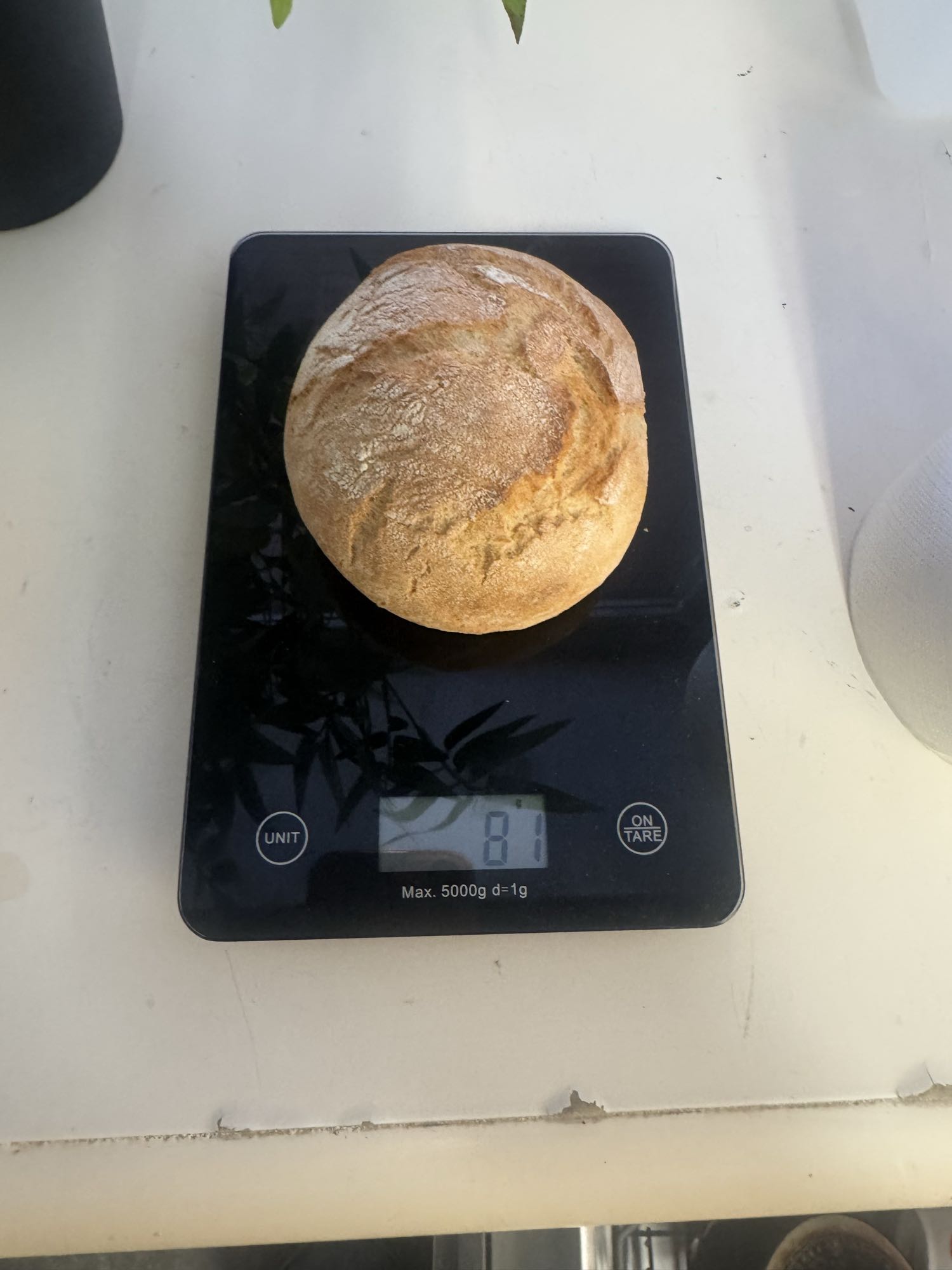 Vitt bröd