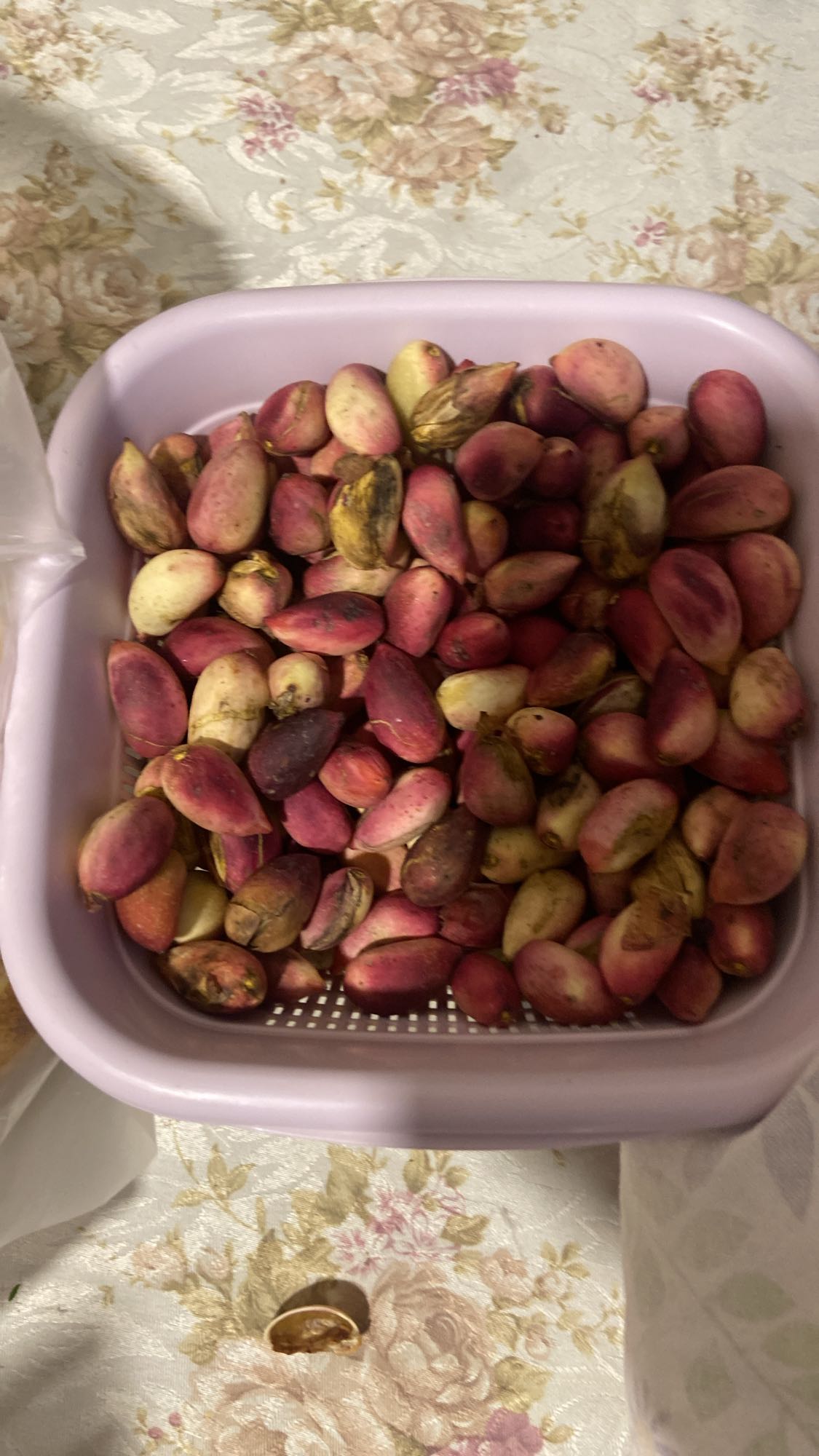 Fresh Pistachios