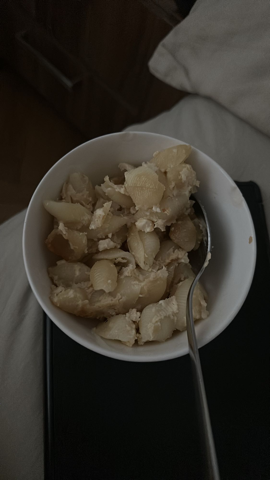 Shell Pasta with Cheese