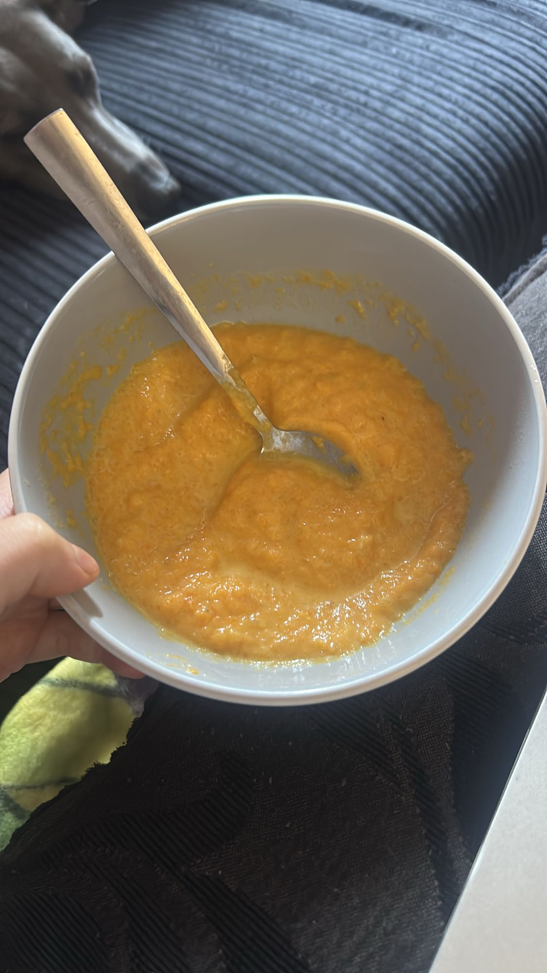Pureed Carrot Soup