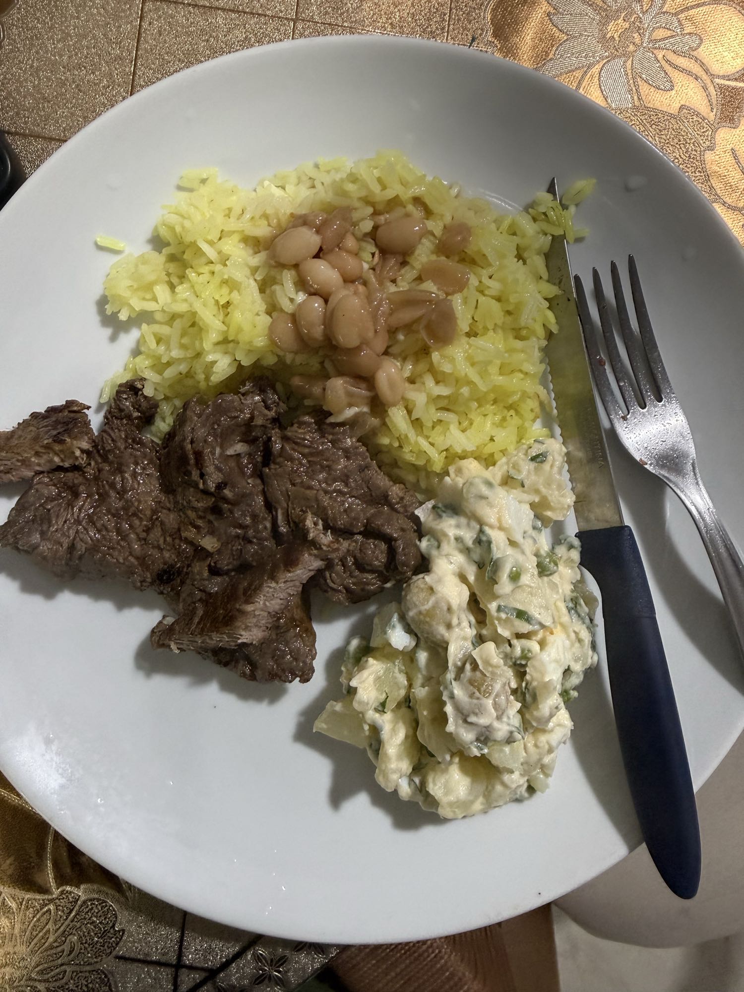 Arroz com carne e salada