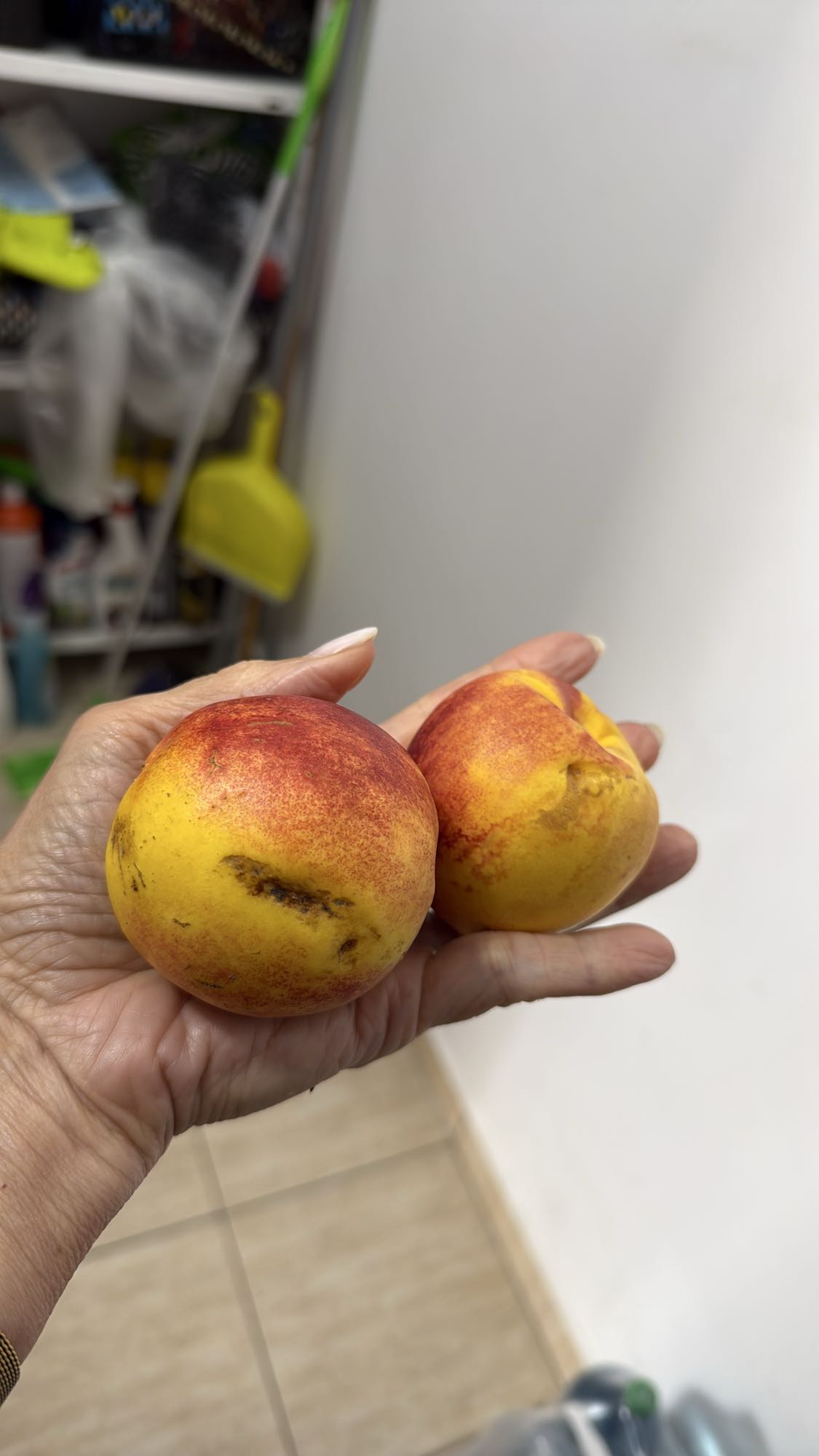 Doua nectarine