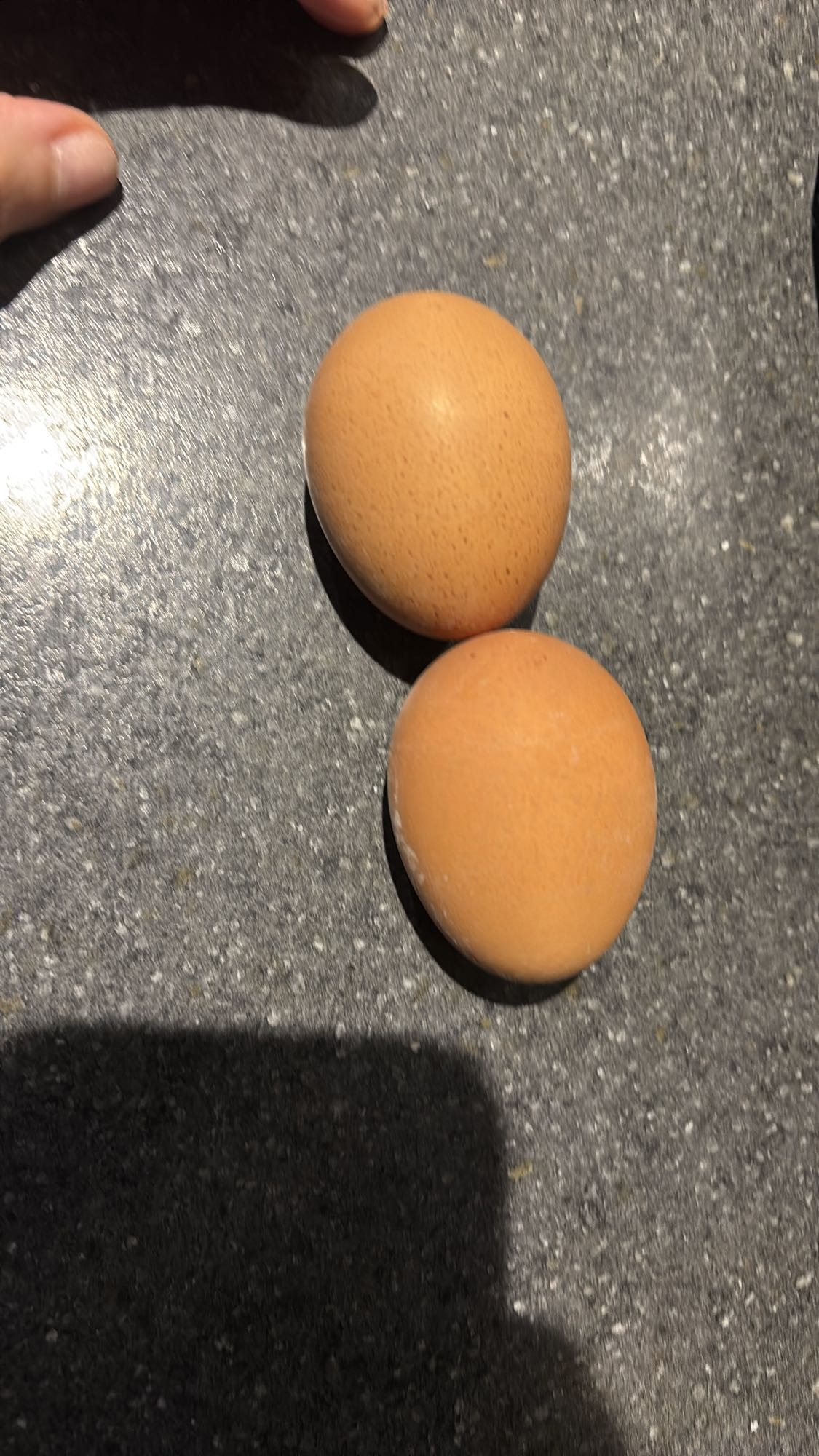 Deux oeufs