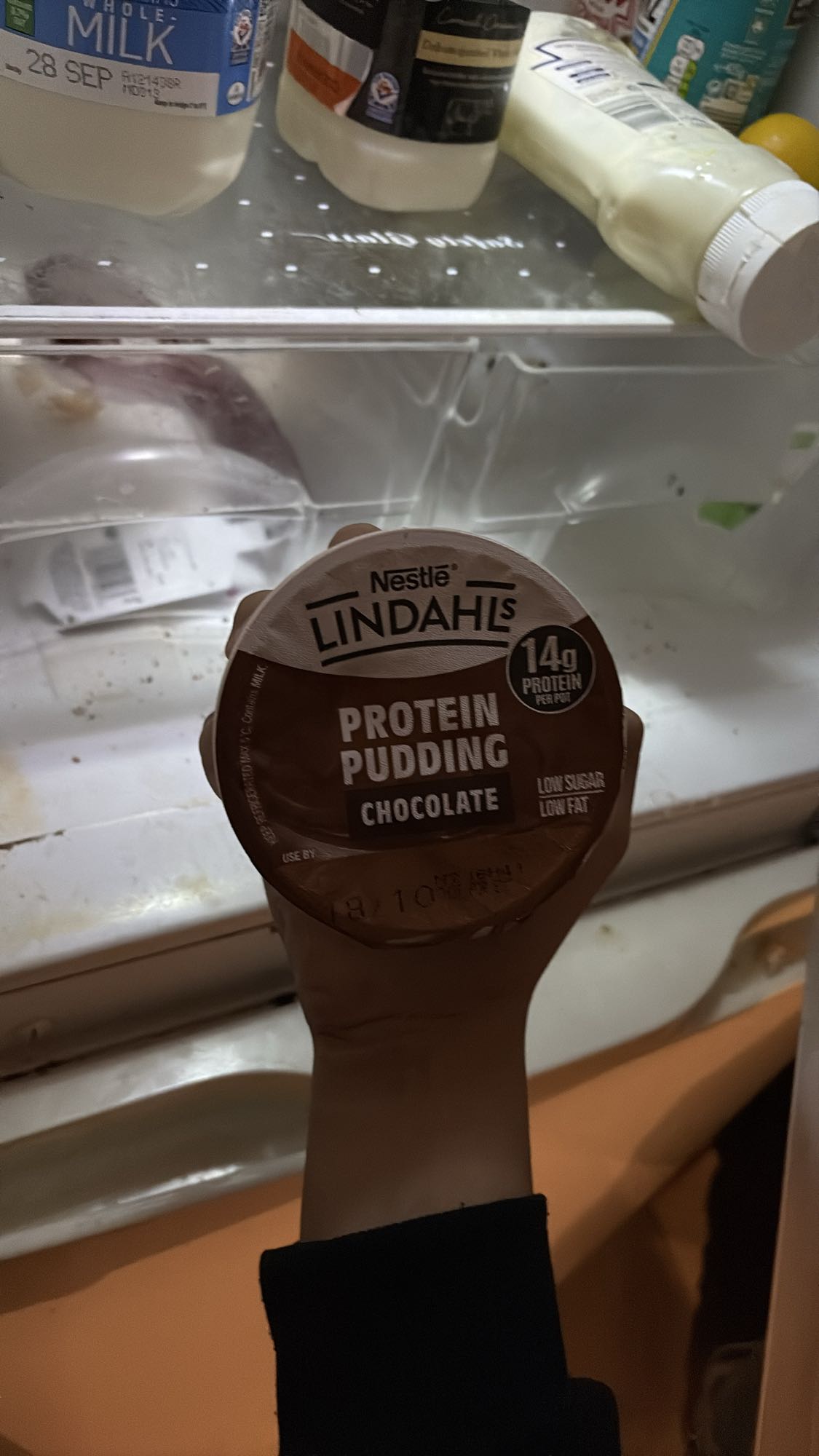 Chocolate Protein Pudding