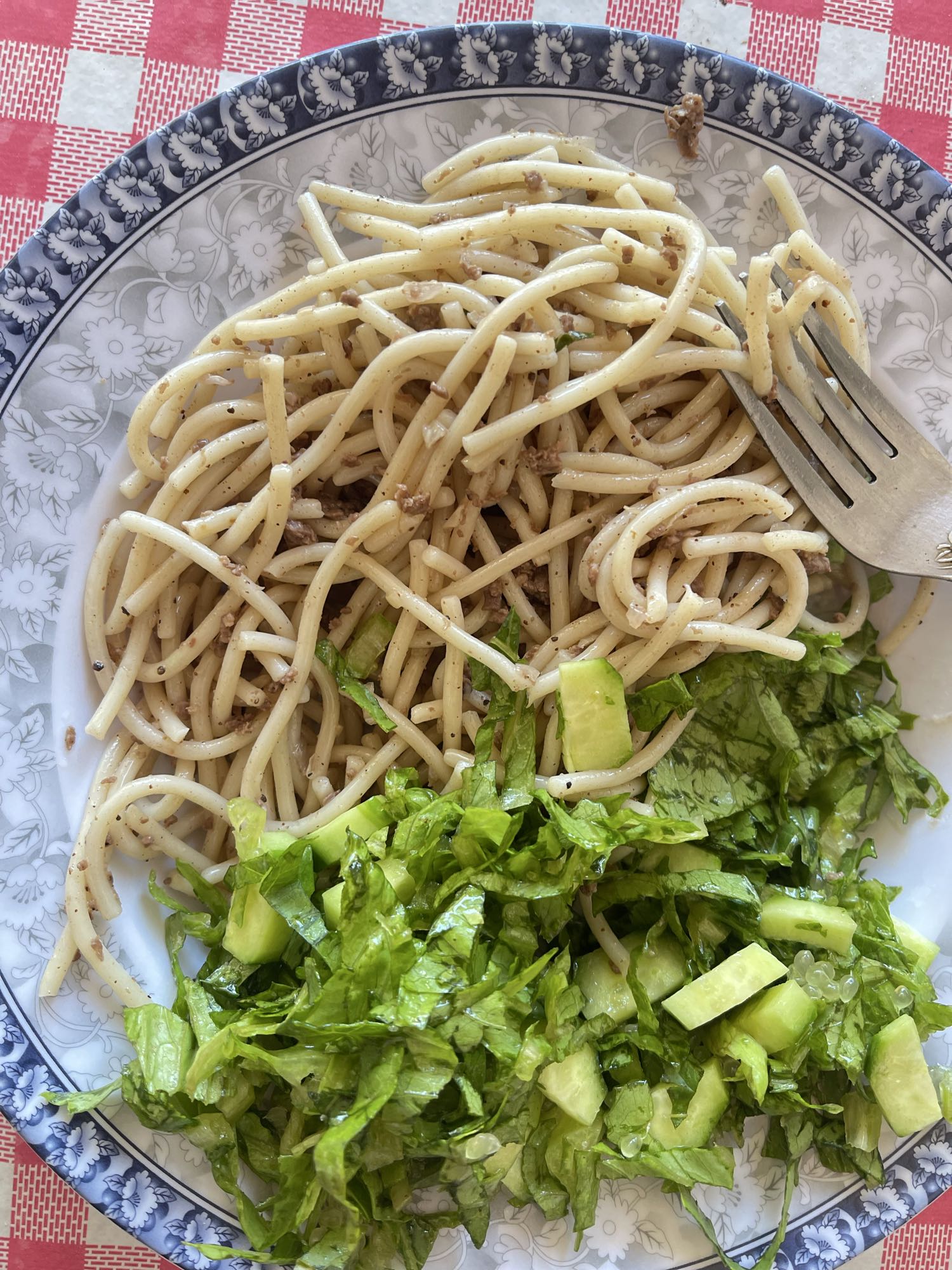 Spaghetti with Salad