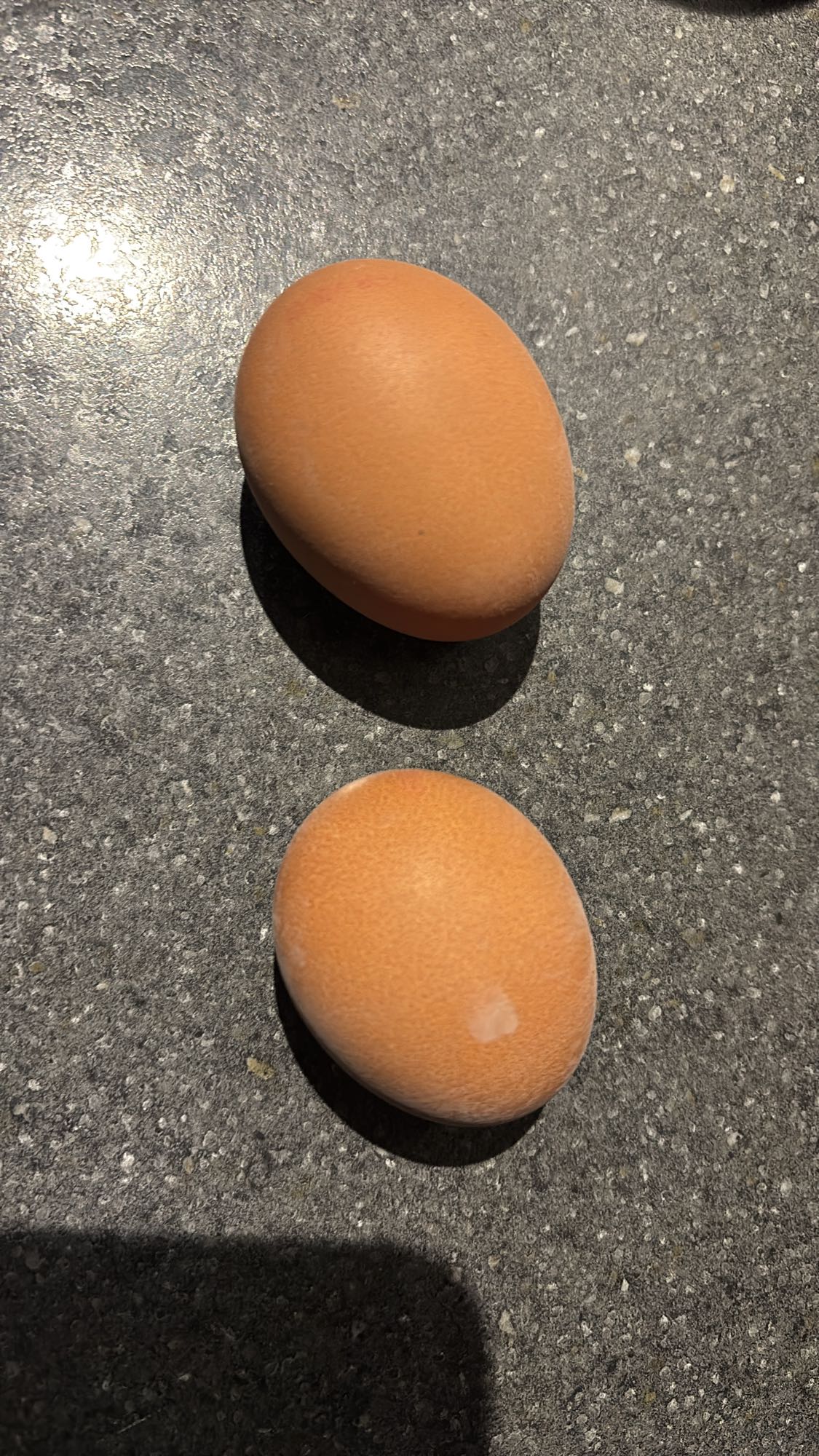 Deux œufs