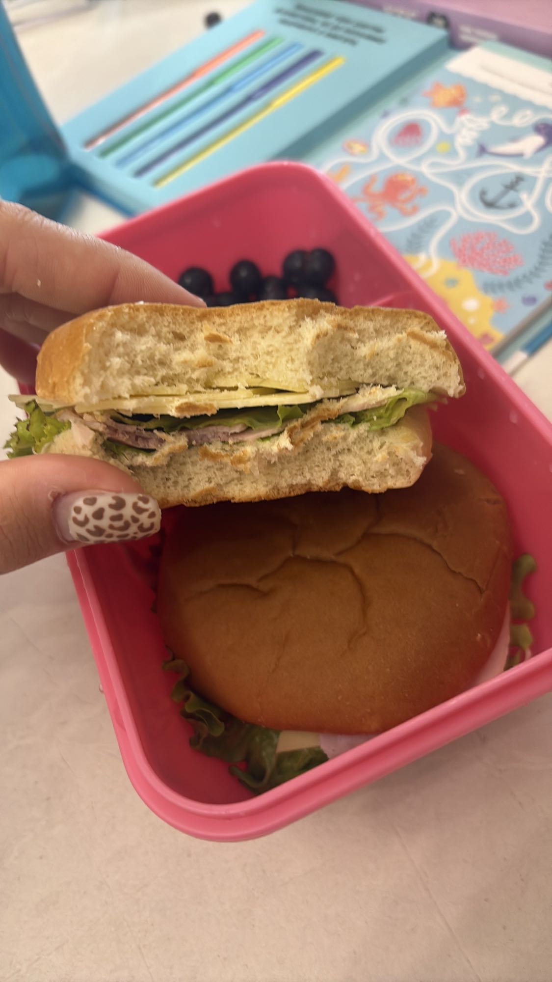 Turkey Cheese Sandwich