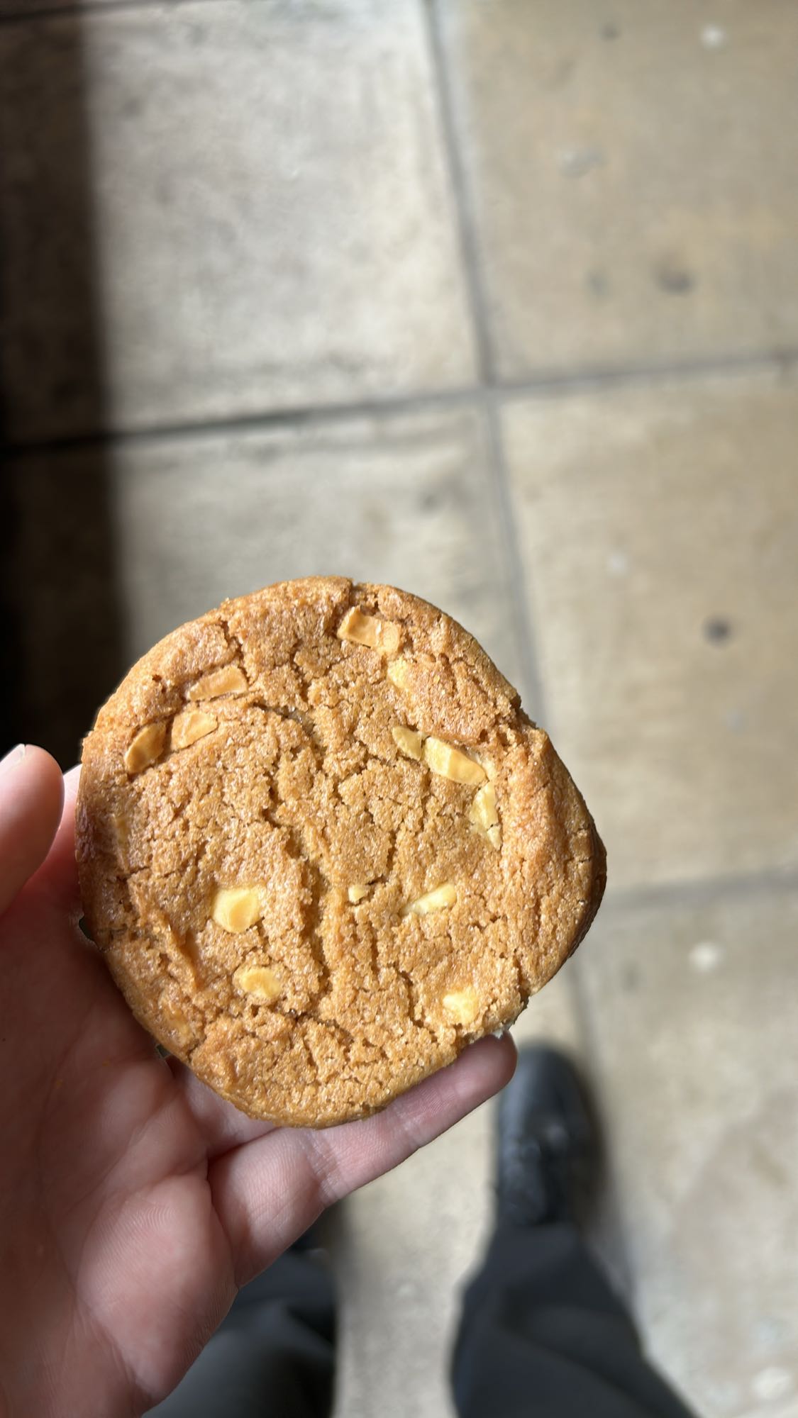 White Chocolate Cookie
