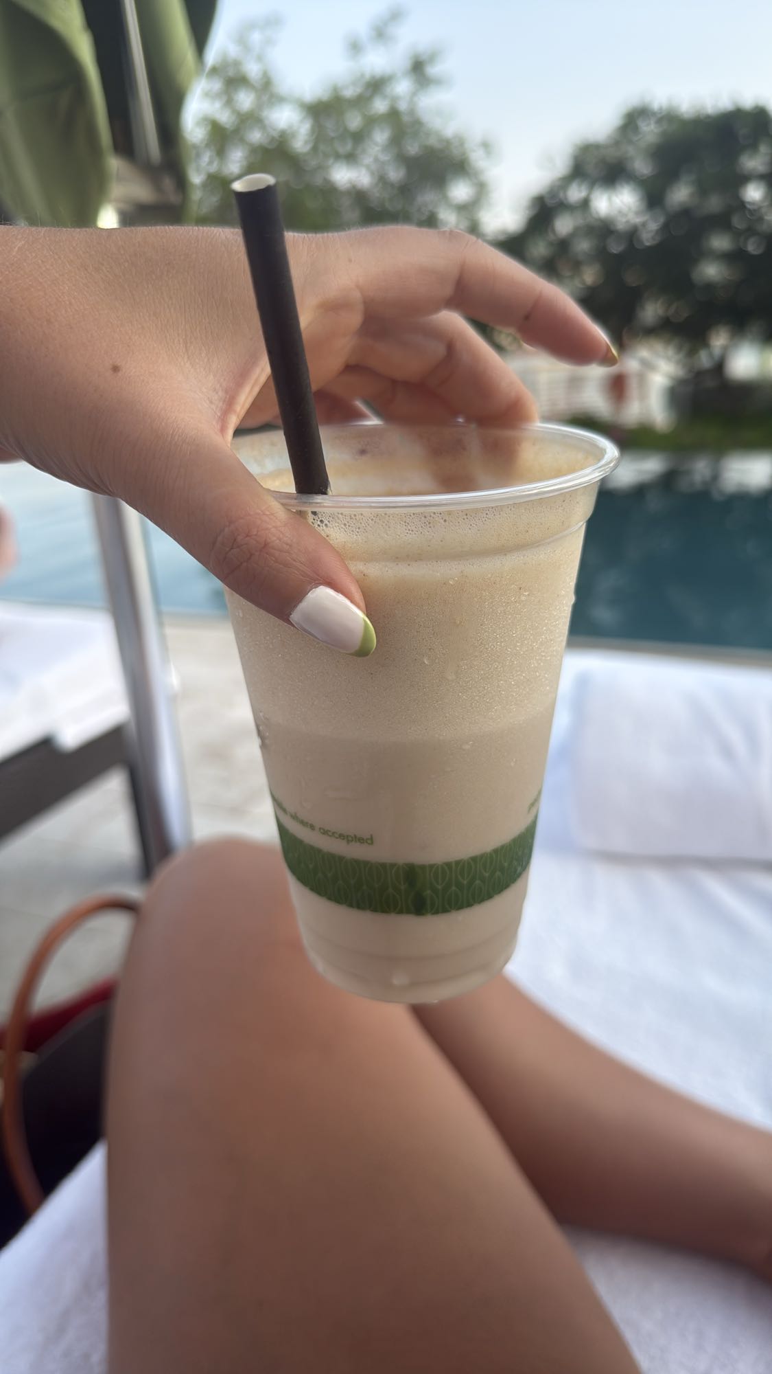 Creamy Iced Smoothie