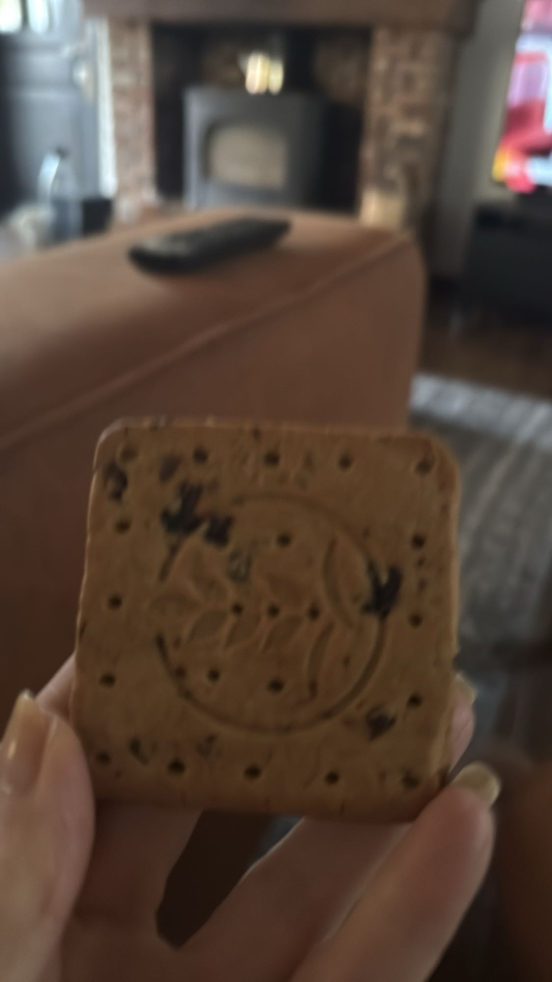 chocoladekoekje