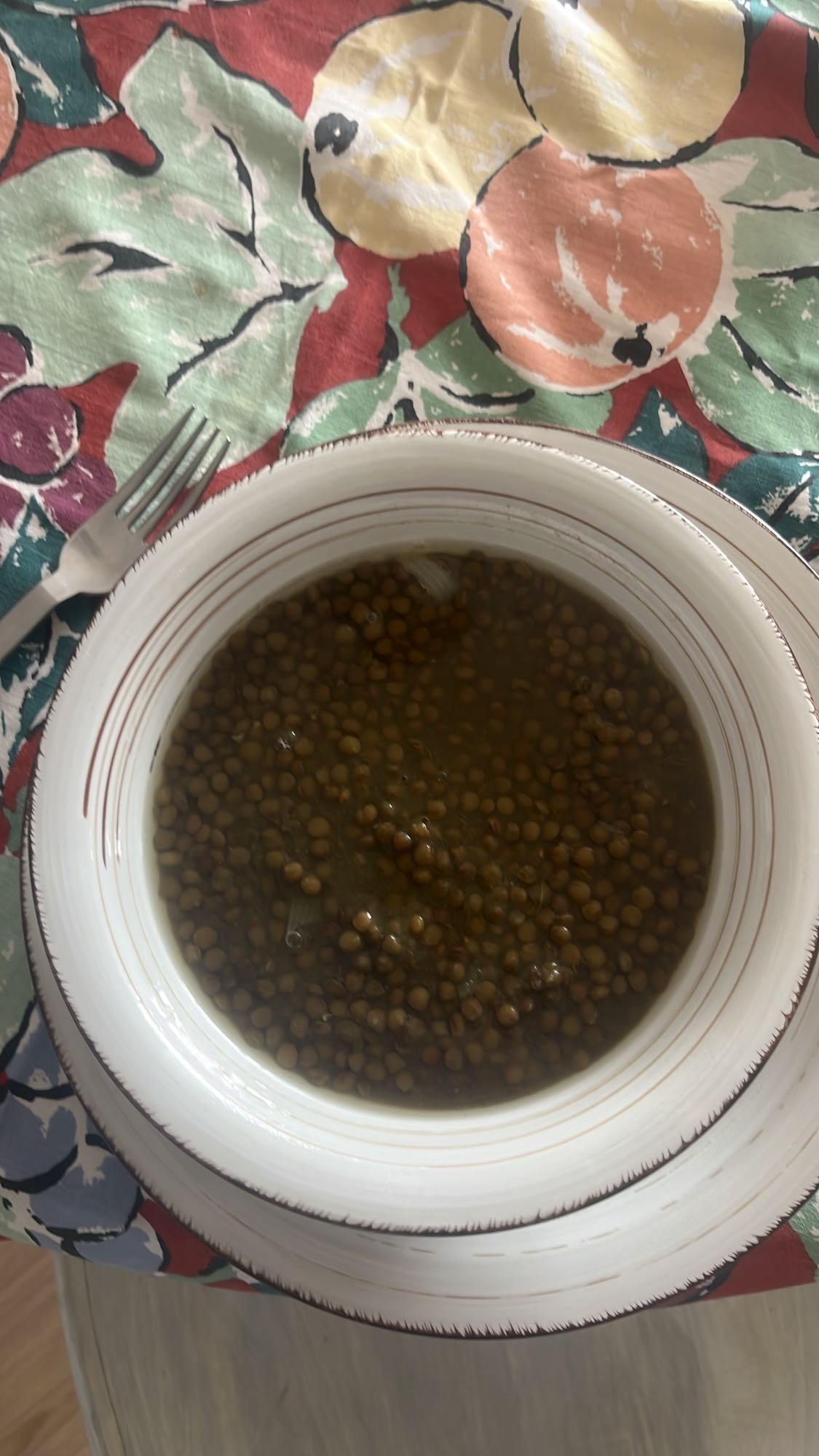 sopa de lentejas