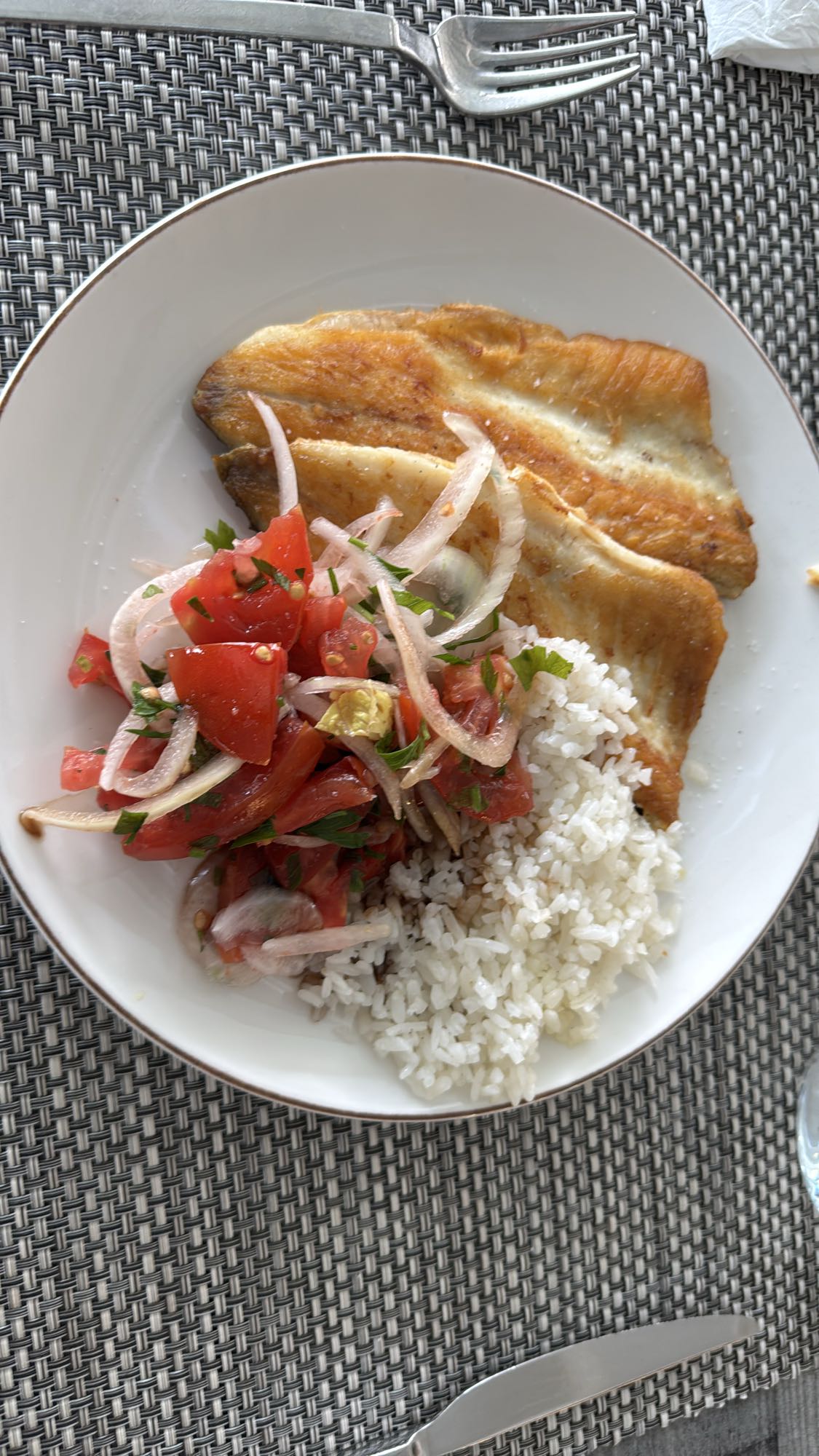 Fried Fish Rice Plate