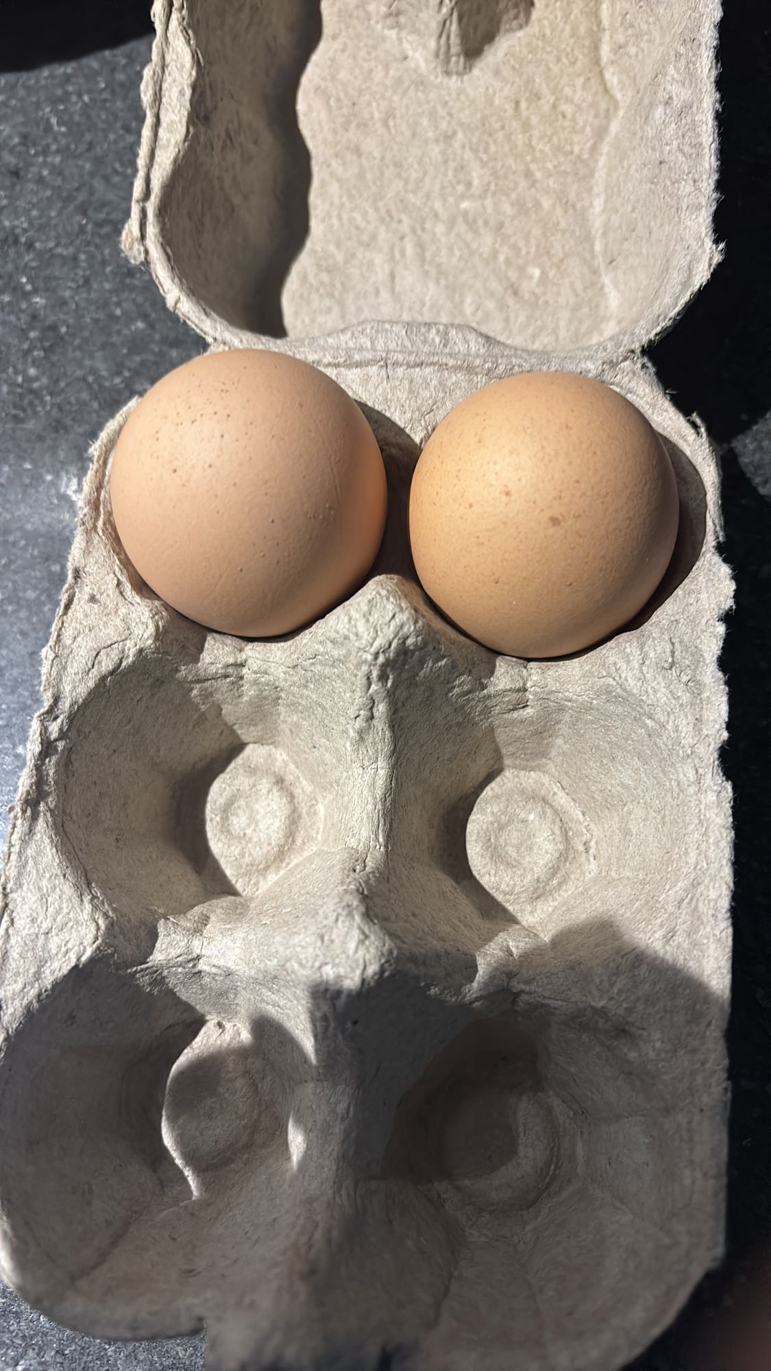 Deux oeufs