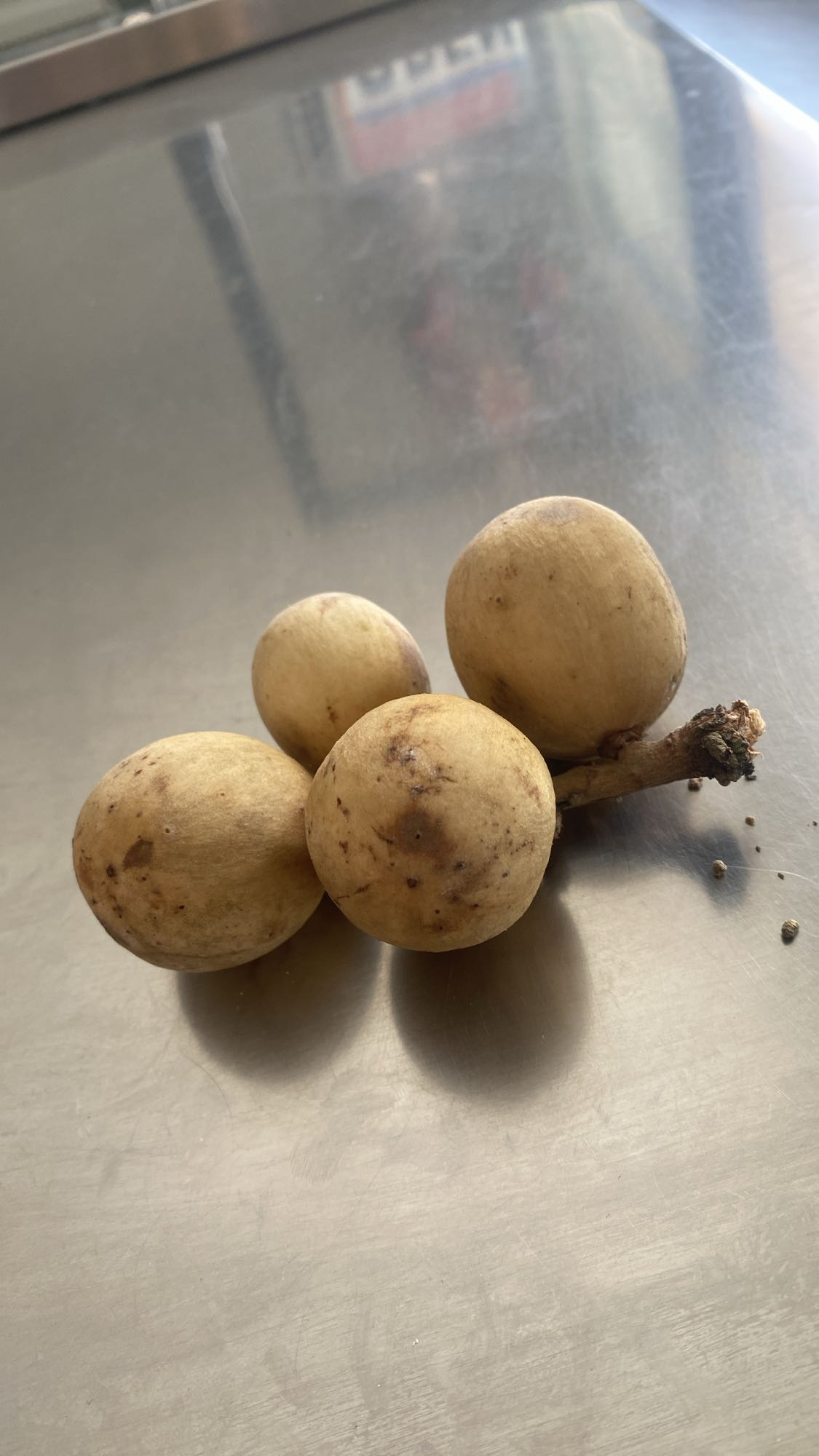 Langsat Fruit