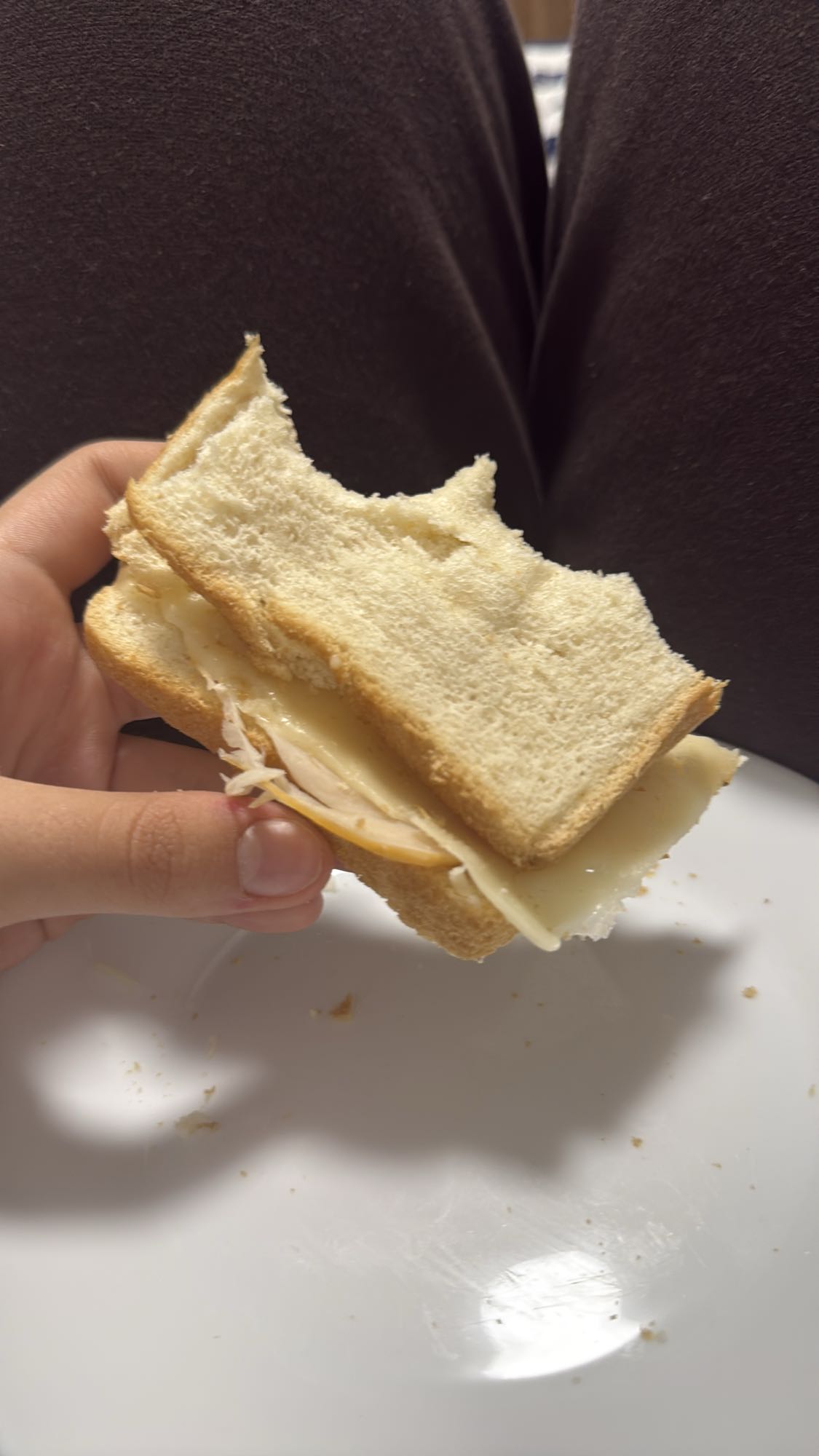 Chicken Cheese Sandwich