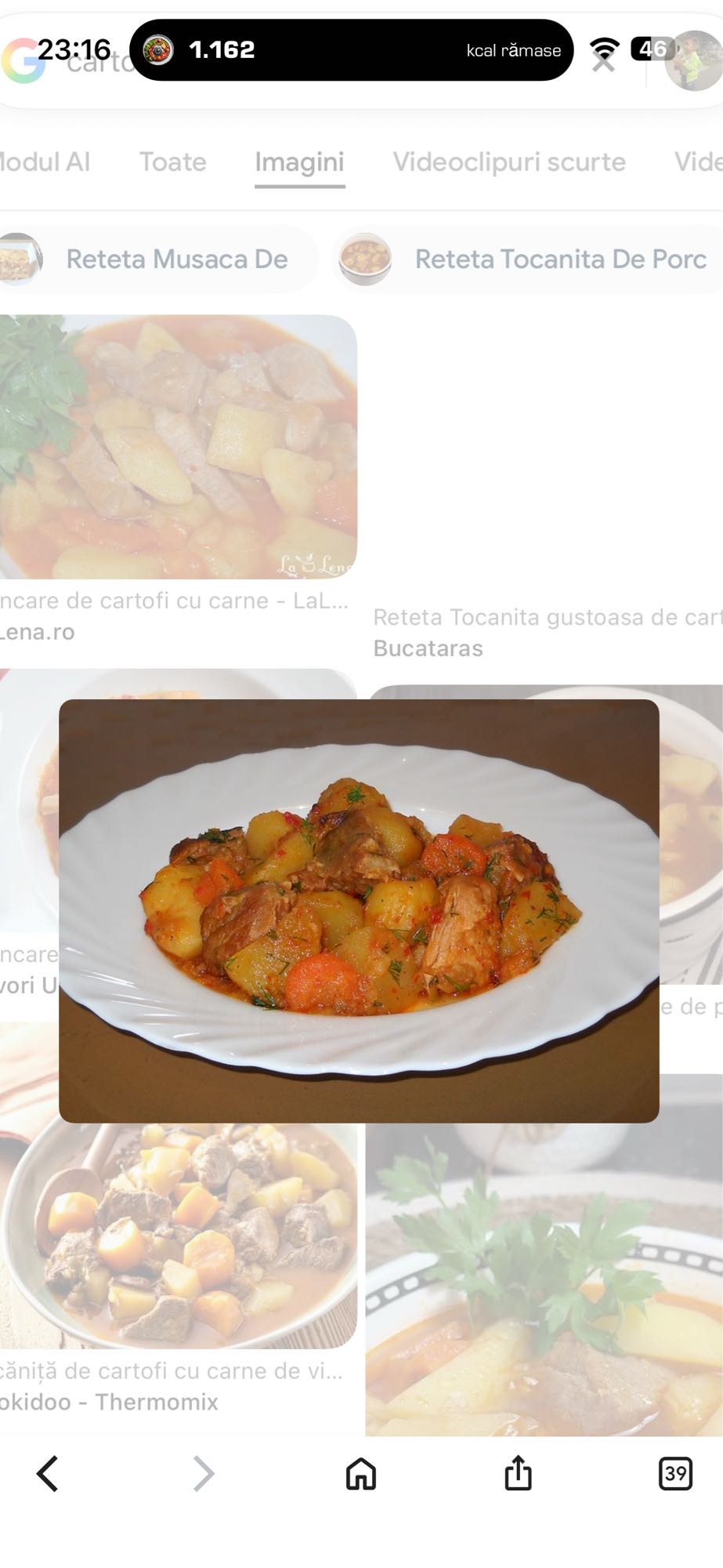 Tocanita de porc