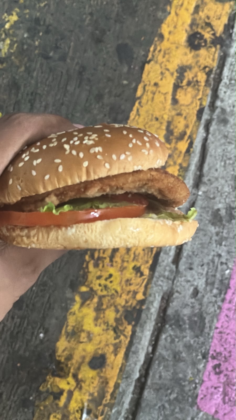 Crispy Chicken Burger