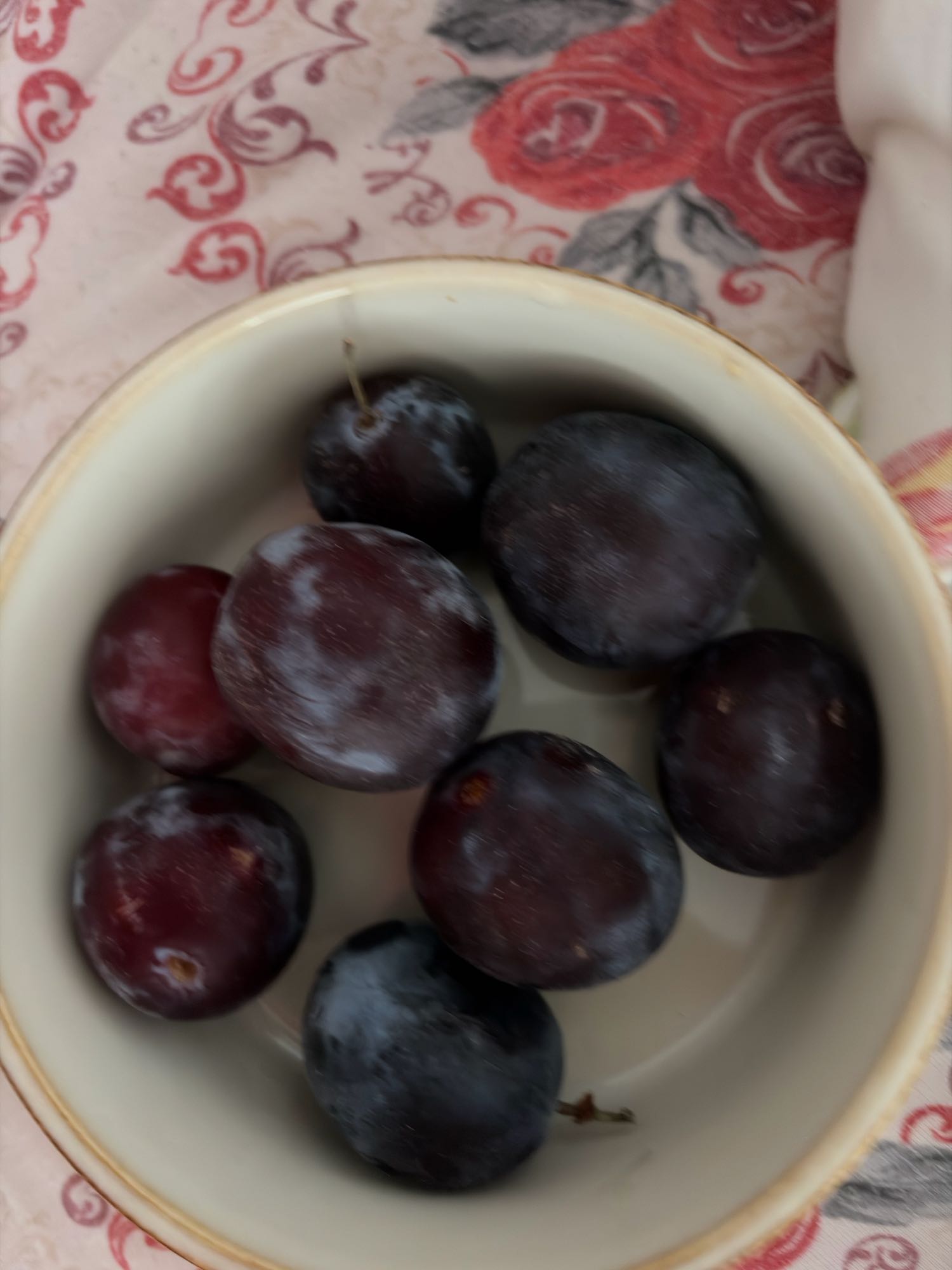 Prune proaspete